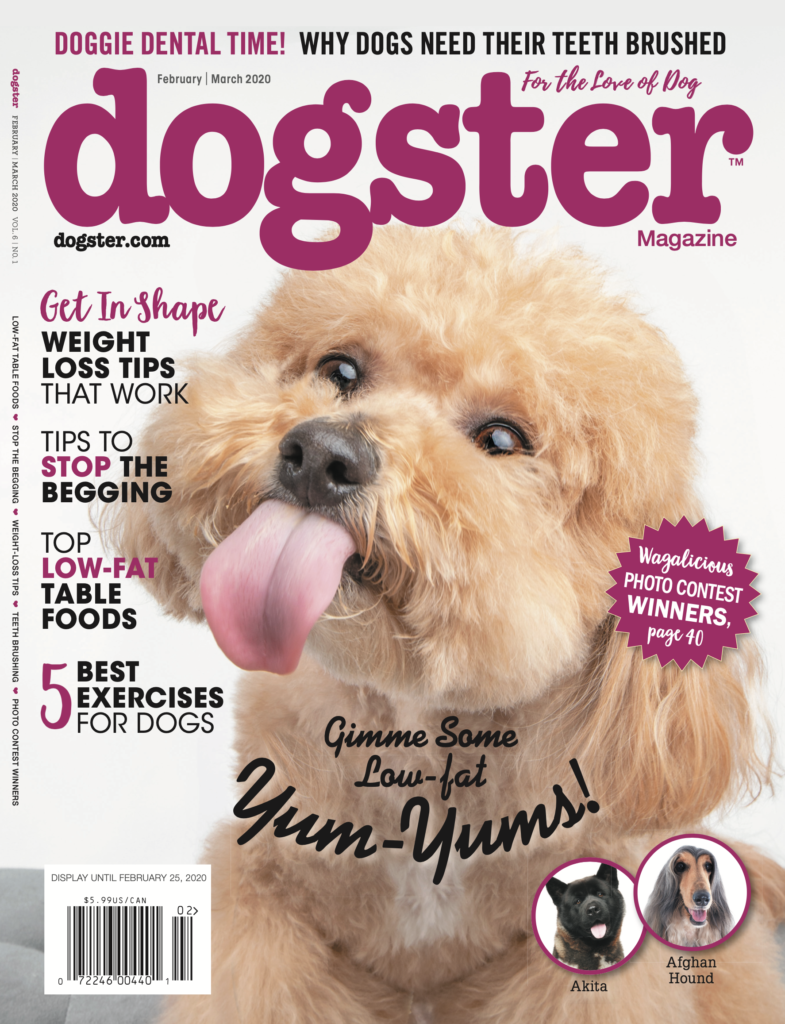 Dogster magazine