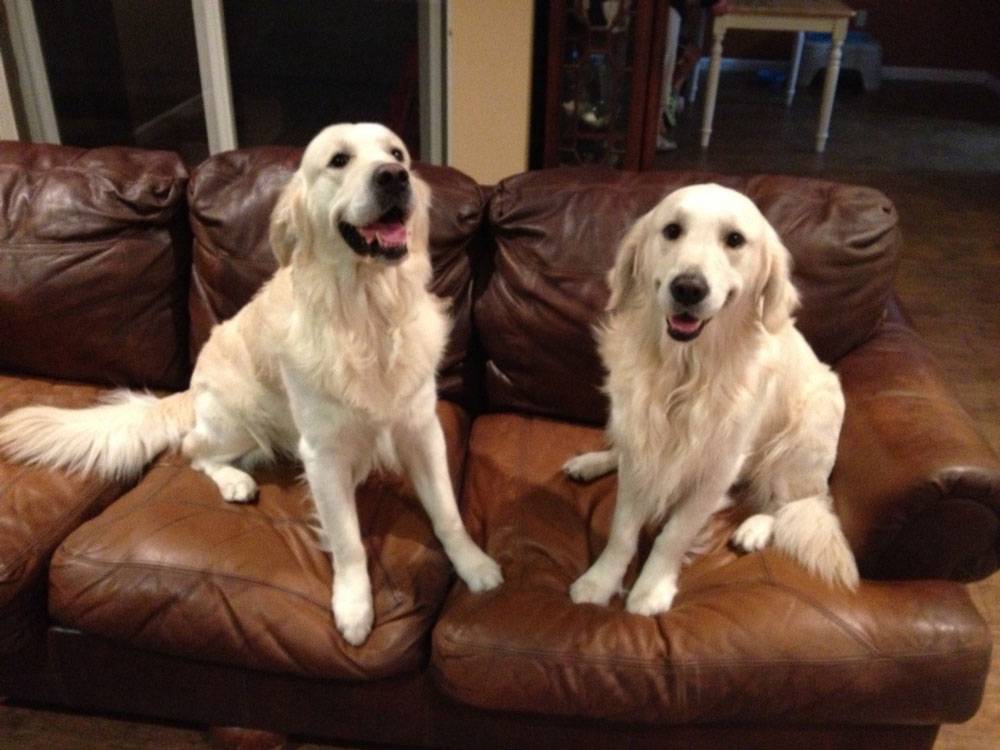 Brody and Griffin, Courtesy Neil Plakcy