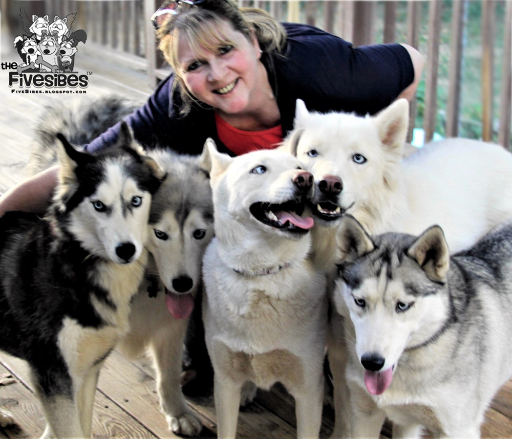 Featured image for “Dorothy Wills-Raftery – Siberian Husky Advocate & Canine Epilepsy Awareness Ambassador”