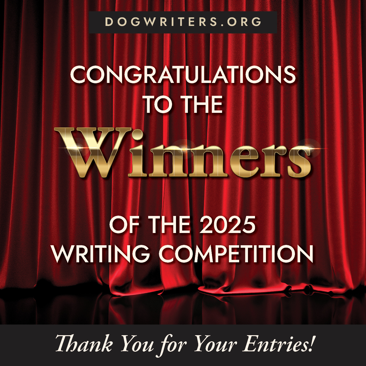 Writing Competition Winners