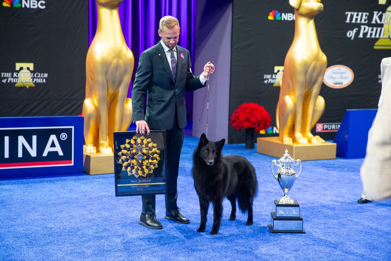 Featured image for “National Dog Show’s Silver Anniversary”