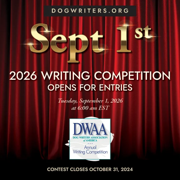 Writing Competition Winners