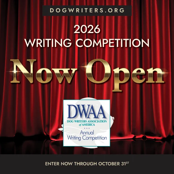 Writing Competition Winners